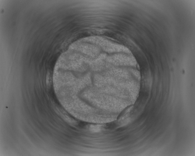 X0000084040134200703161841