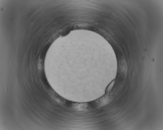 X0000084040135200703161841