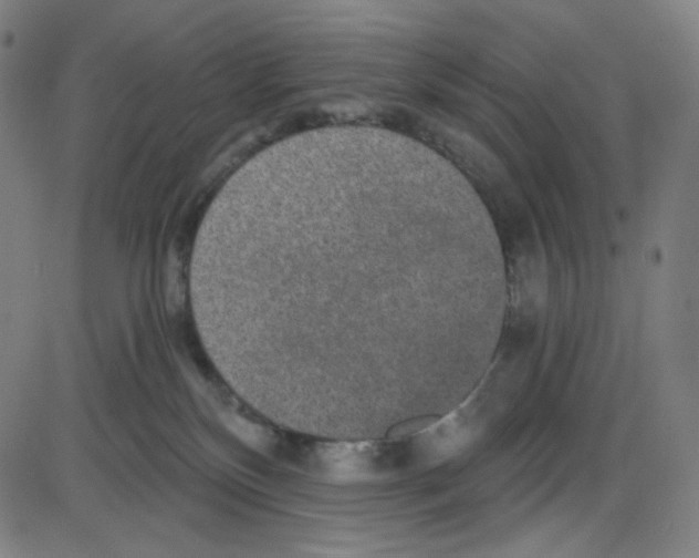 X0000084040136200703161841