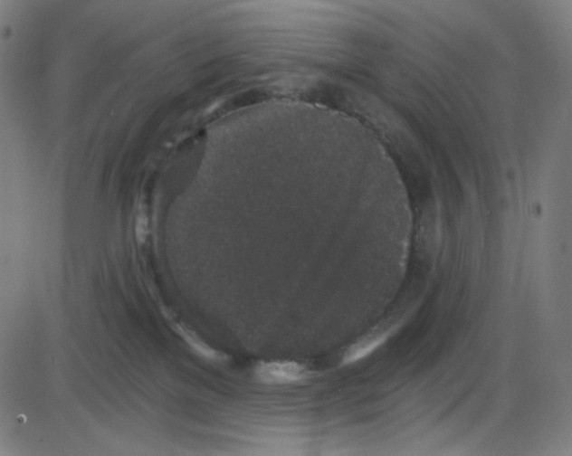 X0000084040137200703161841