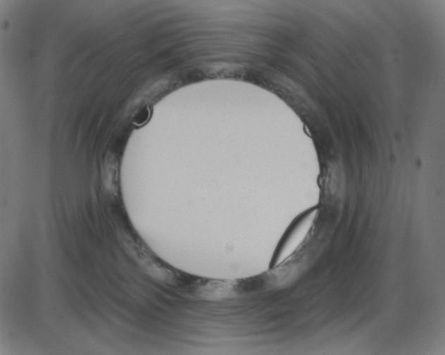 X0000084040138200703161841