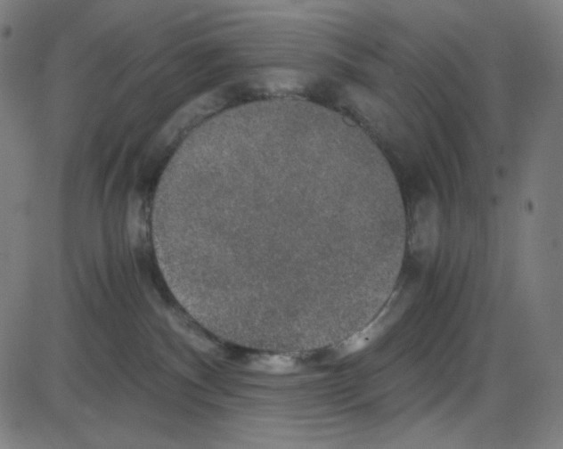 X0000084040140200703161841