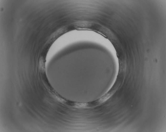 X0000084040143200703161841