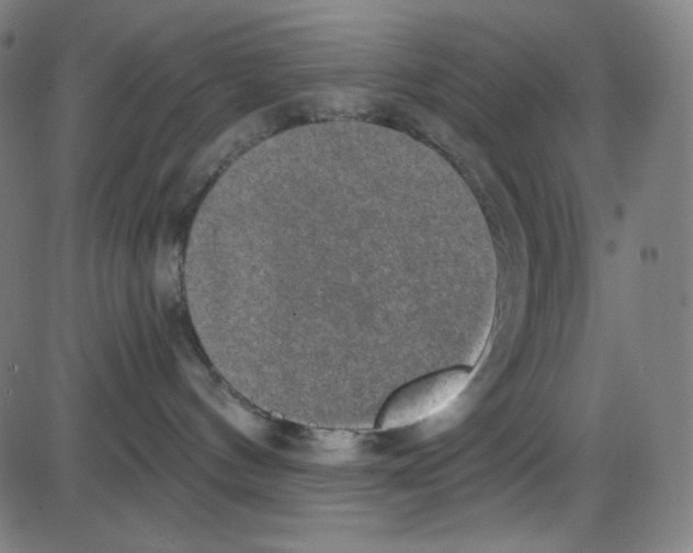 X0000084040144200703161841