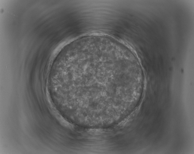 X0000084040145200703161840