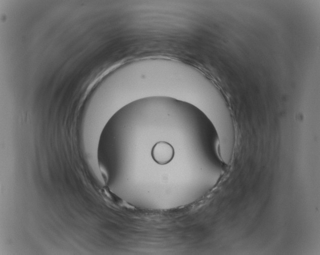 X0000084040146200703161840