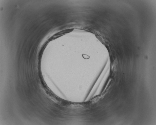 X0000084040150200703161840