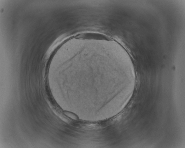 X0000084040151200703161840