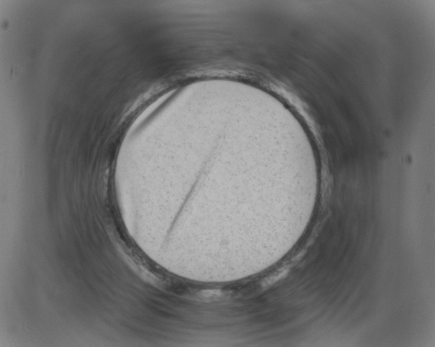 X0000084040153200703161840