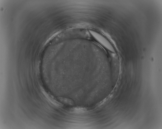 X0000084040154200703161840