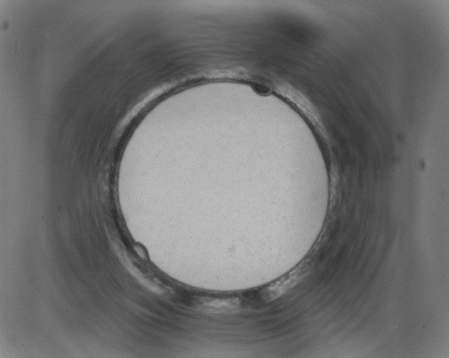 X0000084040155200703161840