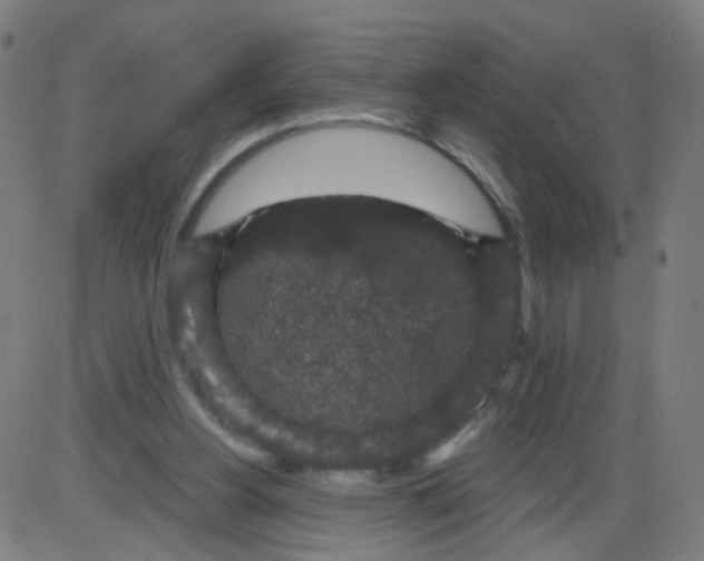 X0000084040156200703161840