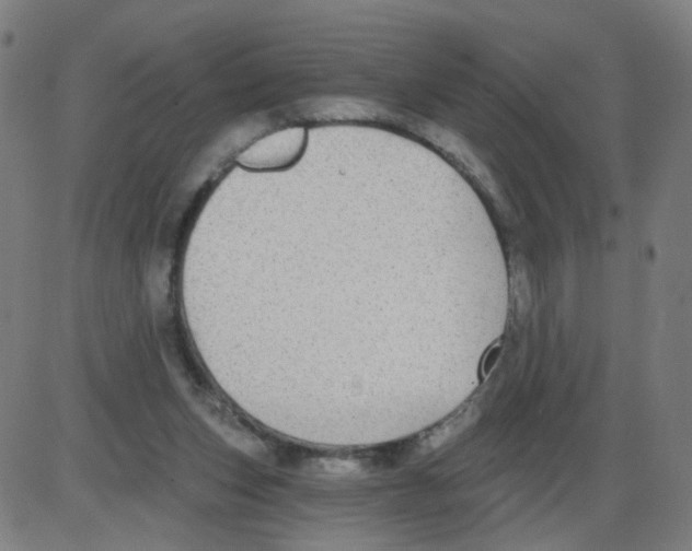 X0000084040159200703161840