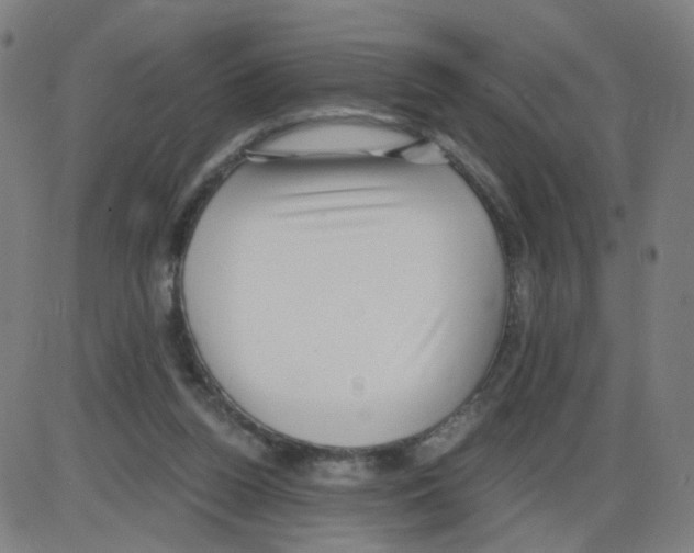 X0000084040160200703161840