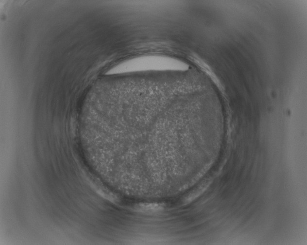 X0000084040161200703161840