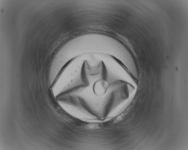 X0000084040162200703161840