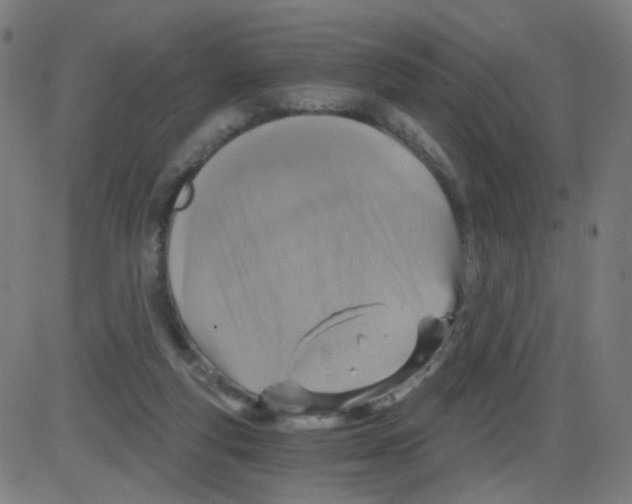 X0000084040163200703161840