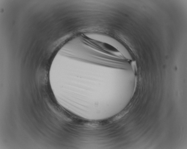 X0000084040164200703161840