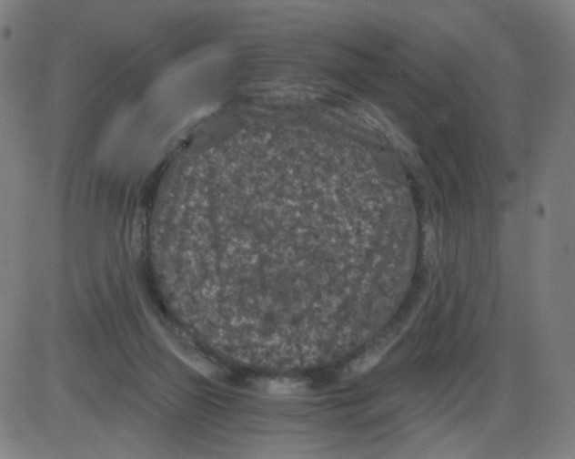 X0000084040165200703161840