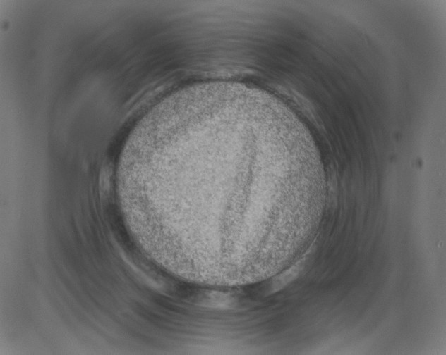 X0000084040166200703161840