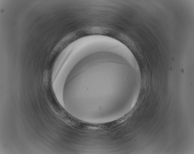 X0000084040167200703161840