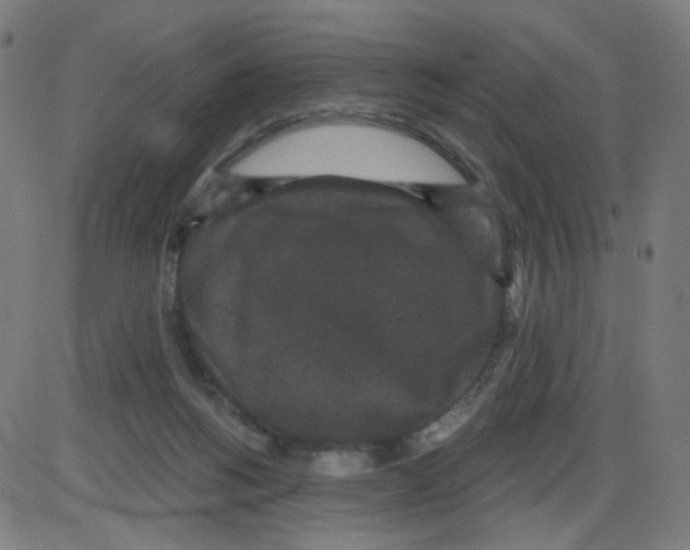 X0000084040168200703161840