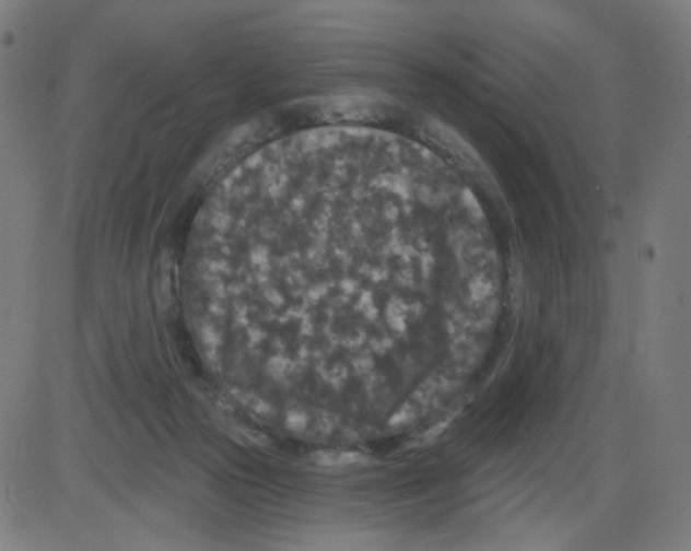 X0000084040169200703161840