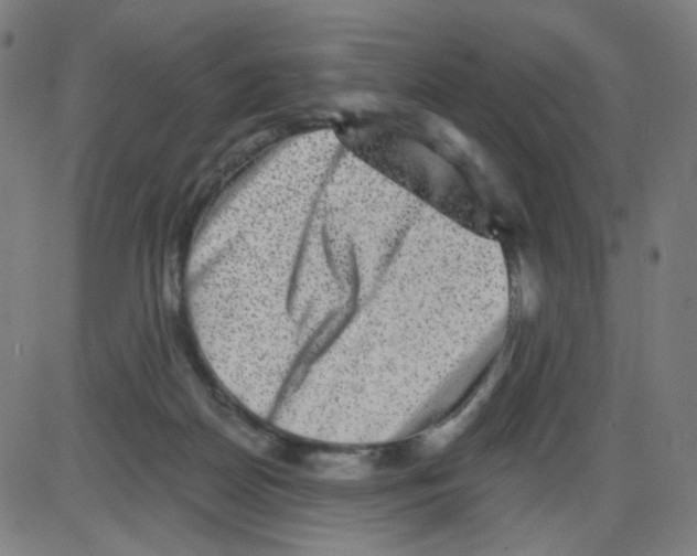 X0000084040170200703161840