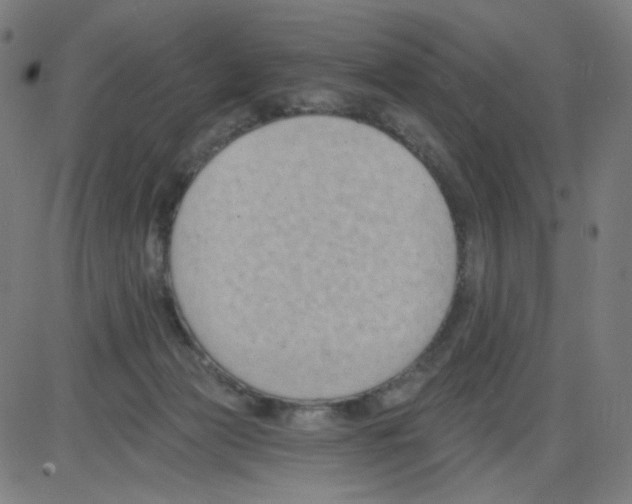 X0000084040173200703161840