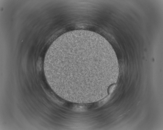 X0000084040174200703161840