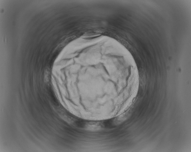 X0000084040175200703161840