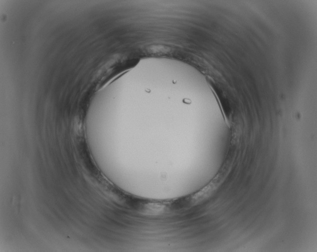 X0000084040176200703161840