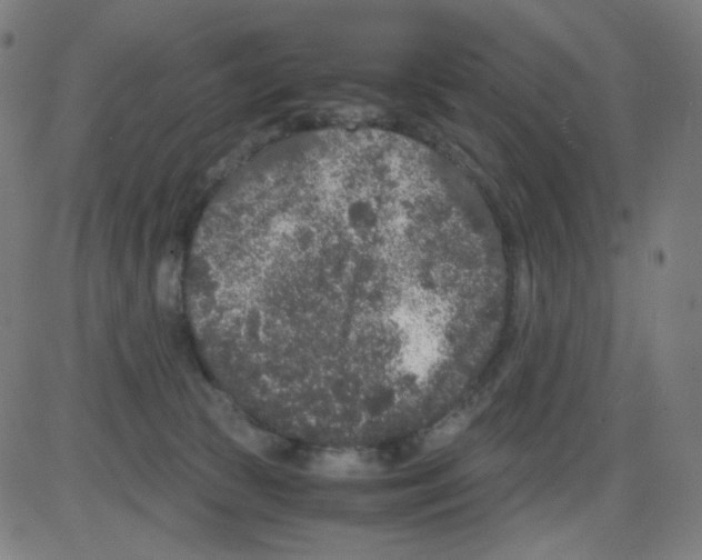 X0000084040177200703161840