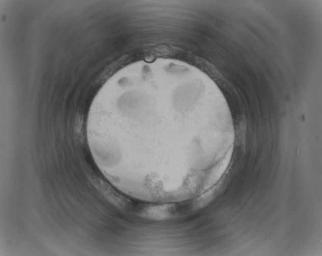 X0000084040178200703161840