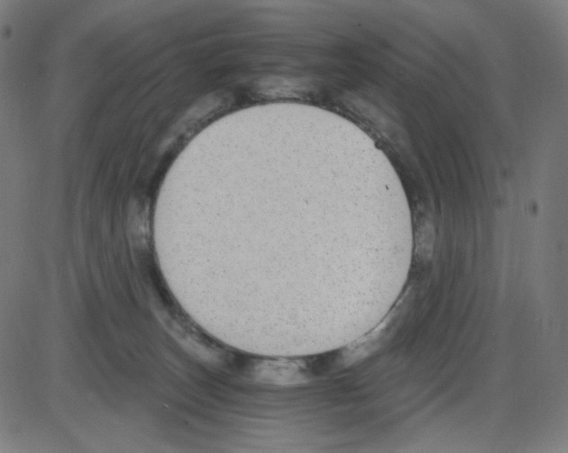 X0000084040179200703161840