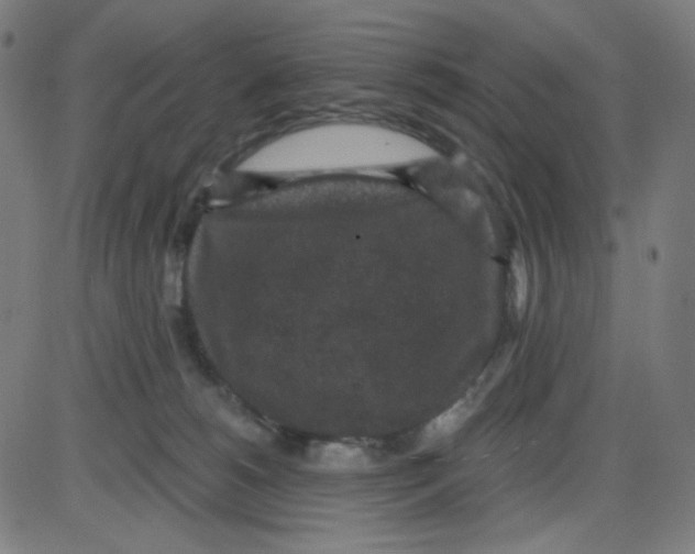 X0000084040180200703161840