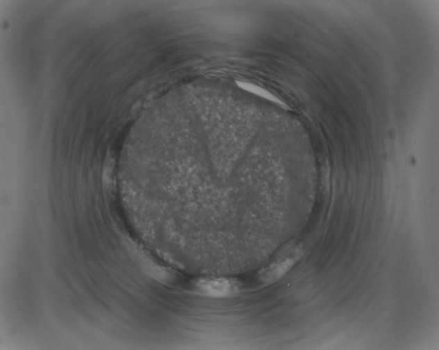 X0000084040181200703161840