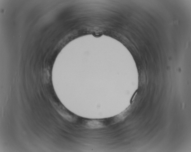 X0000084040183200703161840