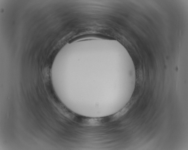 X0000084040184200703161841