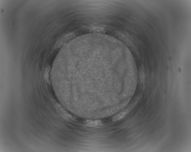 X0000084040185200703161841