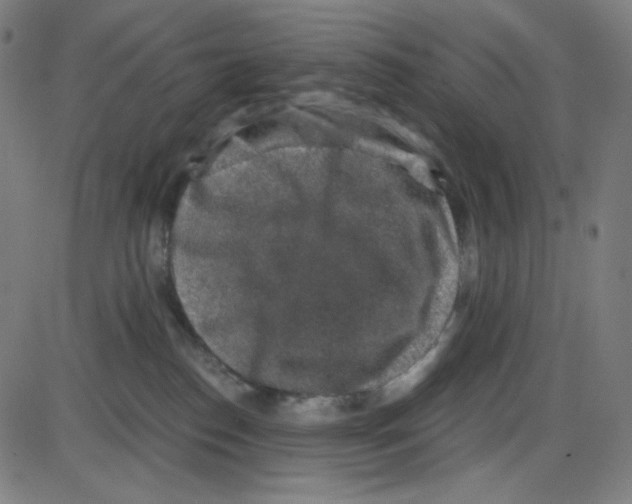 X0000084040186200703161841