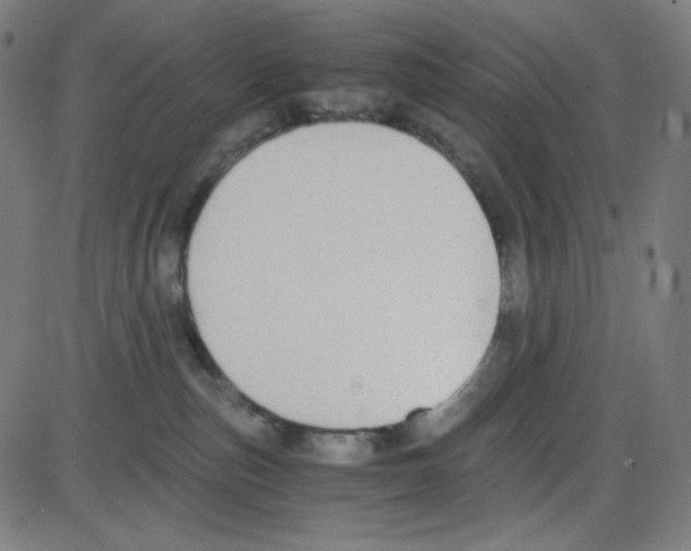 X0000084040187200703161841