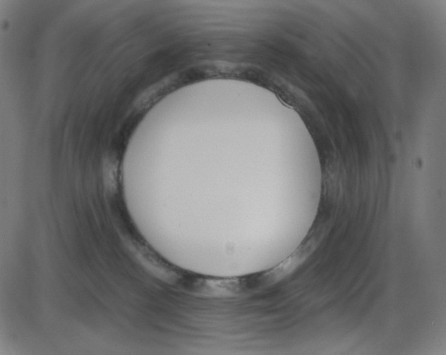 X0000084040188200703161841