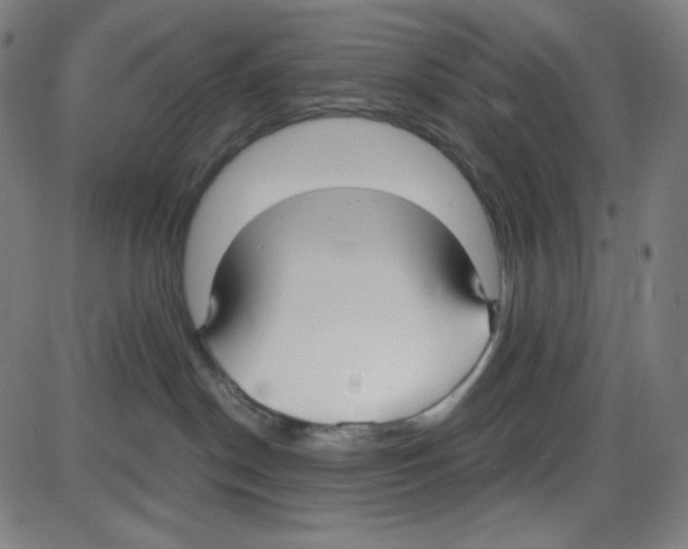 X0000084040190200703161841