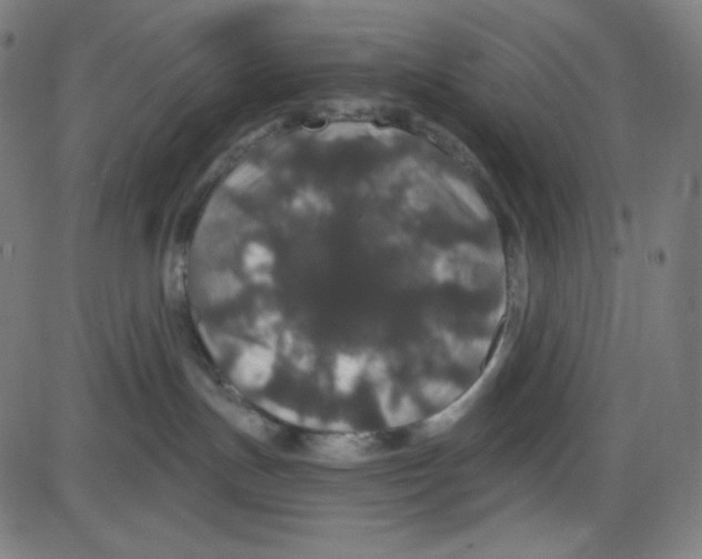 X0000084040191200703161841