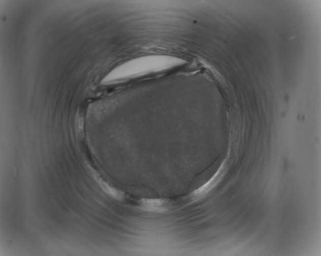 X0000084040192200703161841