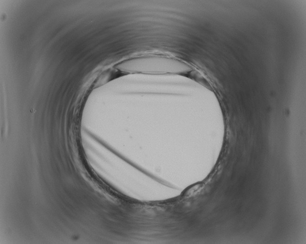 X0000084040193200703161840