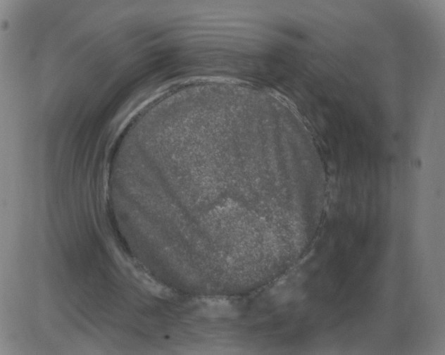 X0000084040194200703161840