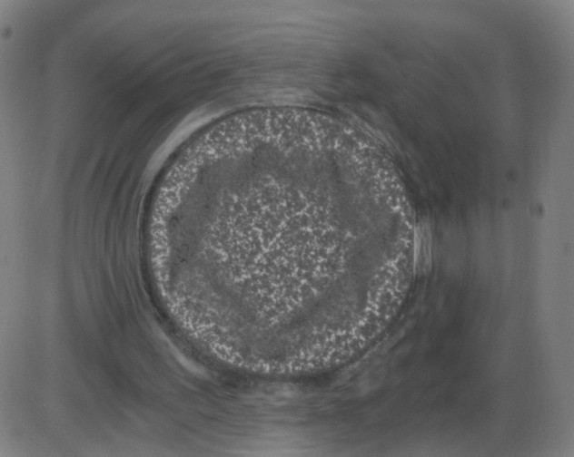 X0000084040195200703161840