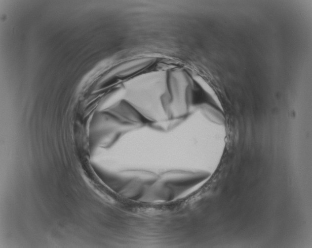 X0000084040197200703161840